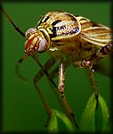 P1110719_cp.jpg