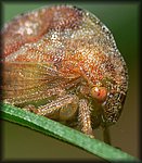 P1120071_cp.jpg