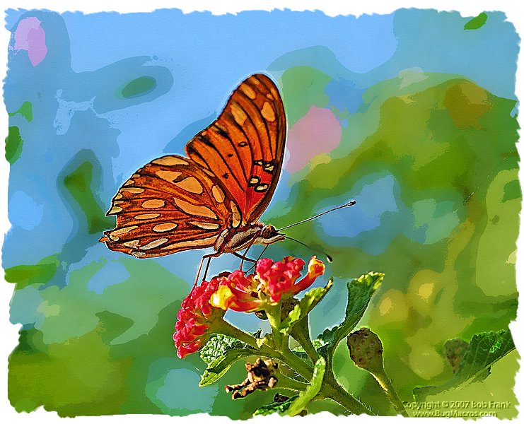 Butterfly painting3.jpg