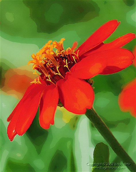 red flower painting.jpg