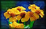 Flowers oil painting.jpg