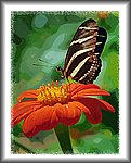 butterfly painting6.jpg