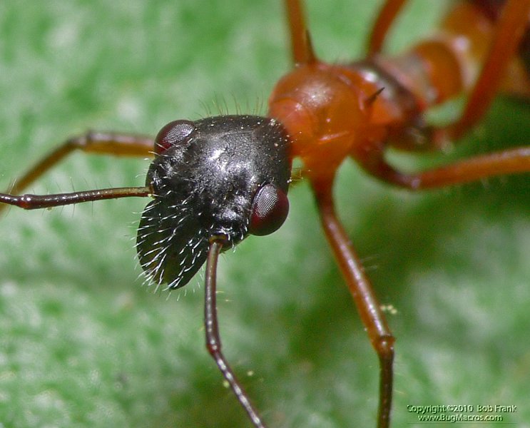 P1040027_crop.jpg