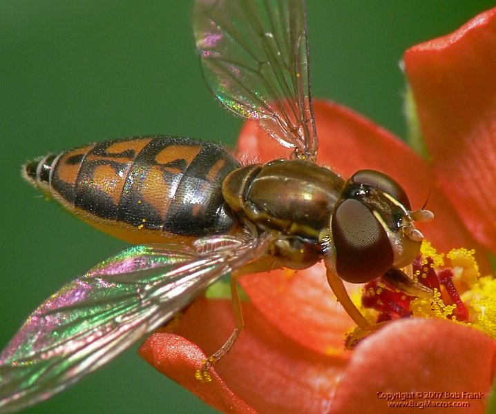 P1130360_cp.jpg