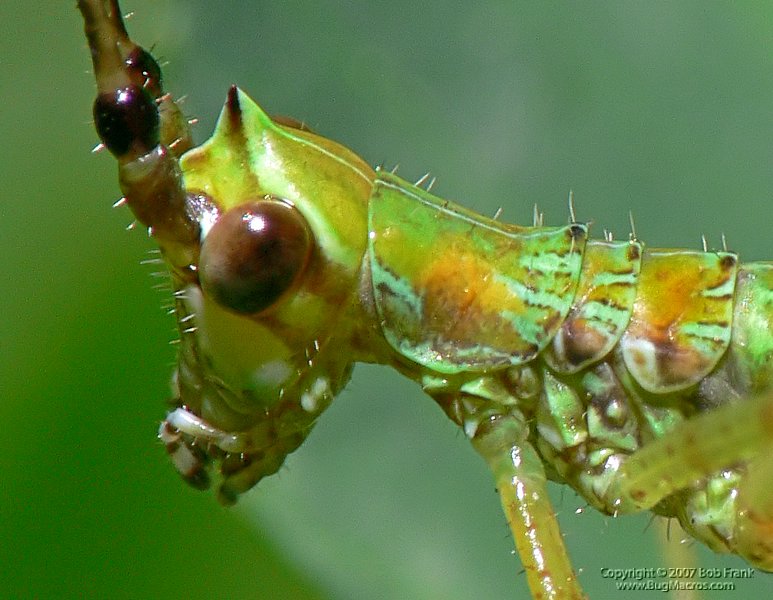 P1130892_cp.jpg