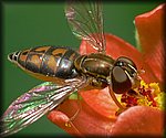 P1130360_cp.jpg