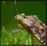 P1130798_cp.jpg