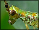 P1130892_cp.jpg