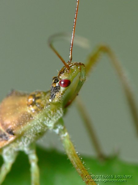 P1030229_crop.jpg