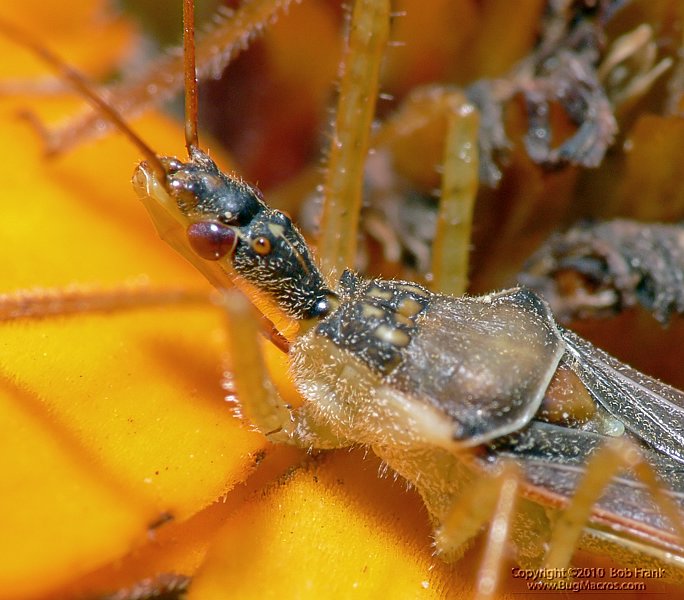 P1090174_cp.jpg