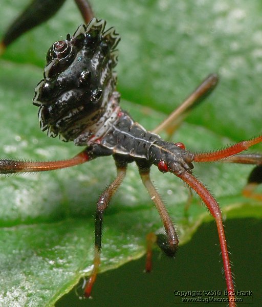 P1140362_cp.jpg