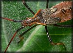 P1160628_cp.jpg