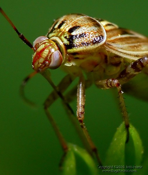 P1110719_cp.jpg