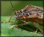 P1110011_cp.jpg