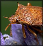 P1160513_cp.jpg