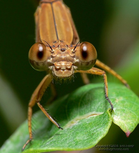 P1150597_cp.jpg