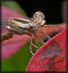 P1050968_cp.jpg