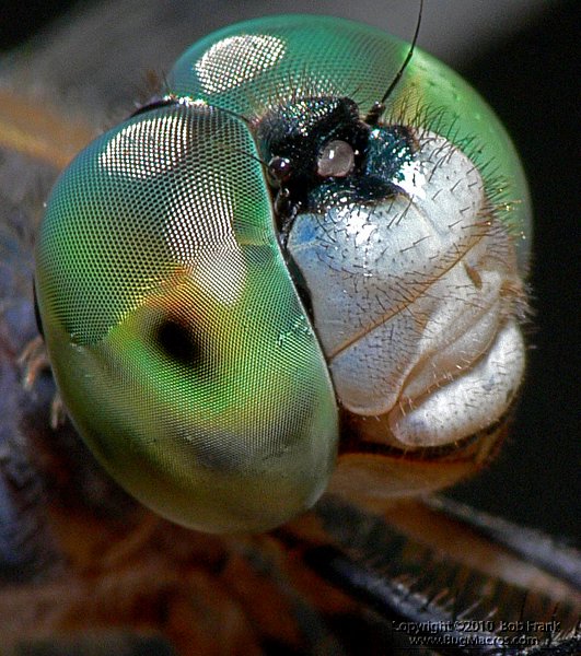 P1160109_cp.jpg