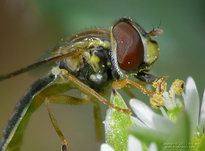 P1100288_cp.jpg