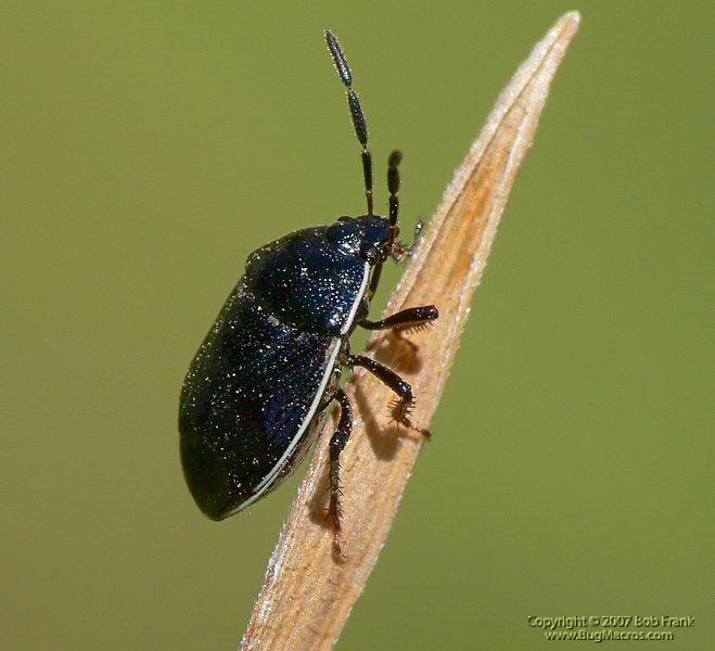 P1100599_cp.jpg
