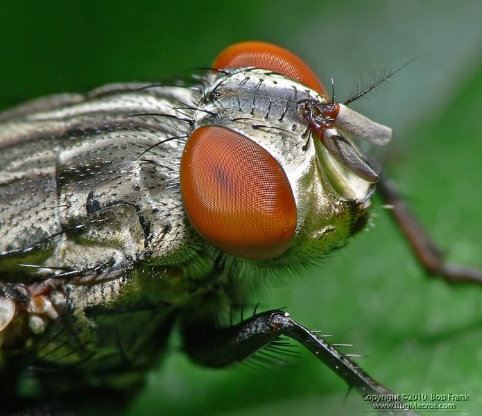 P1040045_crop.jpg