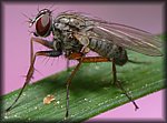 P1170503_cp.jpg