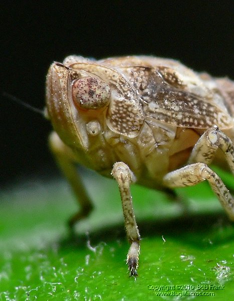 P1040406_crop.jpg