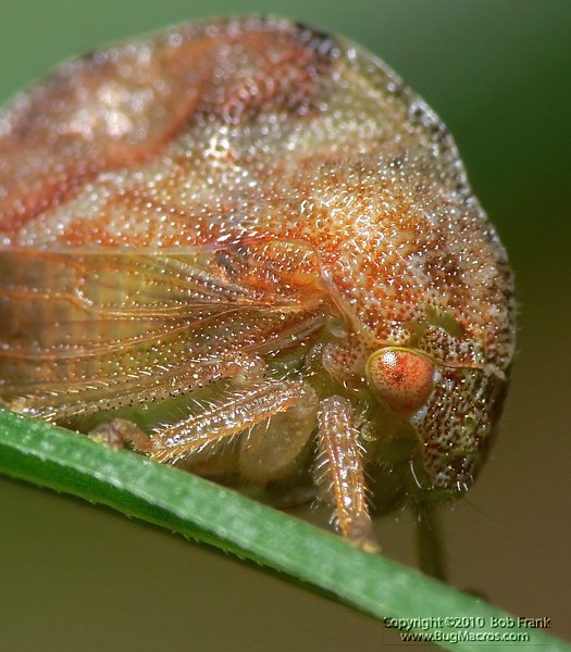 P1120071_cp.jpg