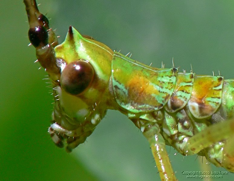 P1130892_cp.jpg