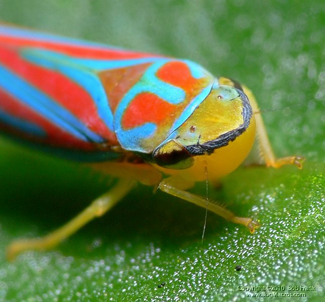 P1150774_cp.jpg
