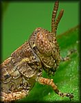 P1110753_cp.jpg