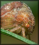 P1120071_cp.jpg