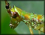 P1130892_cp.jpg