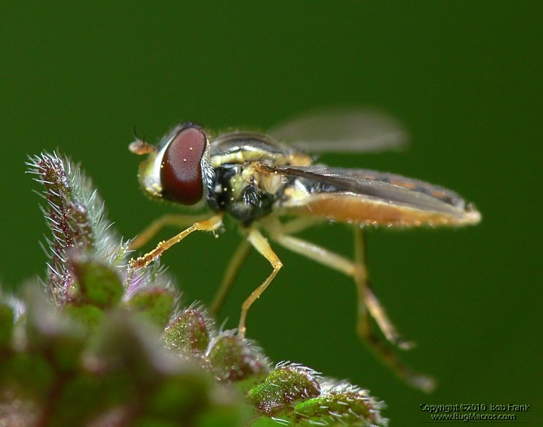 P1100064.jpg