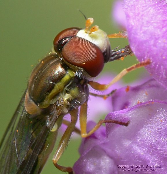 P1100124_cp.jpg
