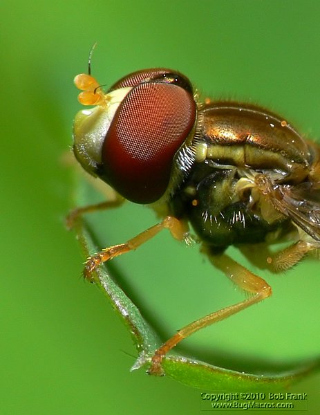 P1120771_cp.jpg