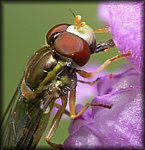 P1100124_cp.jpg