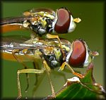 P1120560cp.jpg