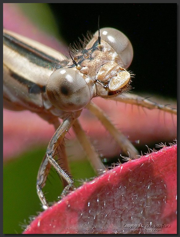 P1050968_cp2.jpg
