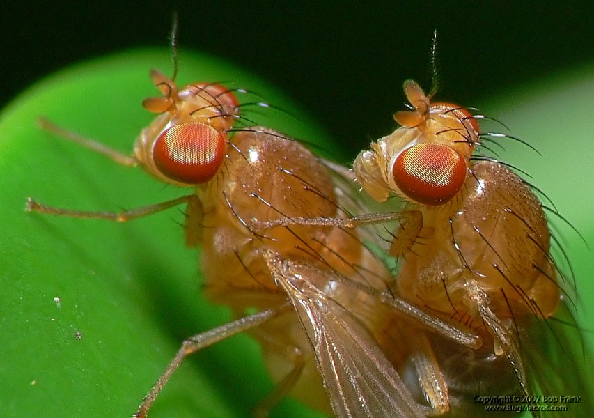P1150110_cp.jpg