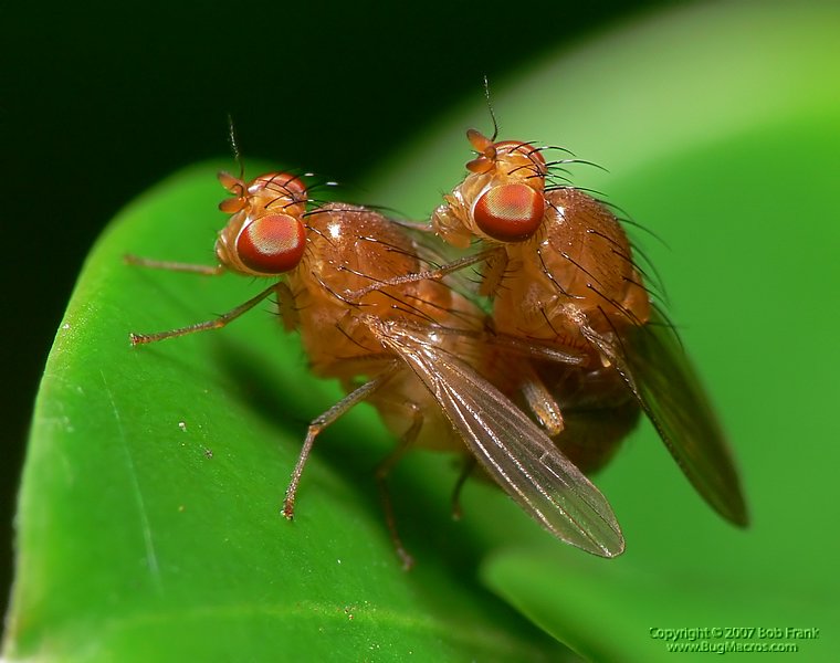 P1150151.jpg