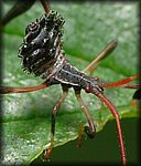 P1140362_cp.jpg