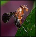 P1140560_b.jpg