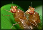 P1150110_cp.jpg