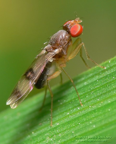 P1170681_cp.jpg