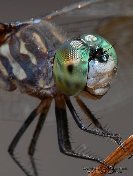 P1160075_cp.jpg