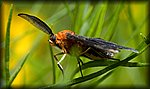 P1160274-Edit.jpg