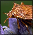 P1160513_cp.jpg