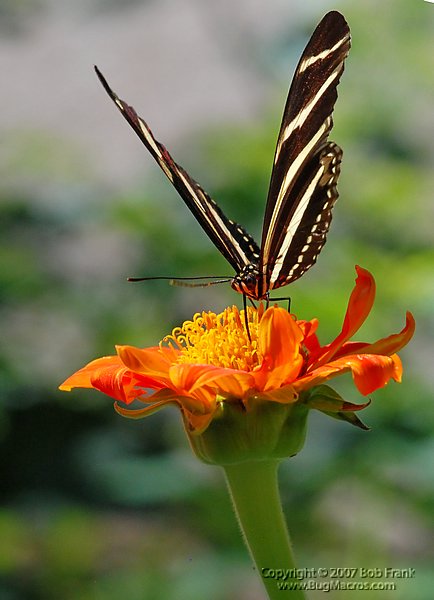 DSC_1805.jpg