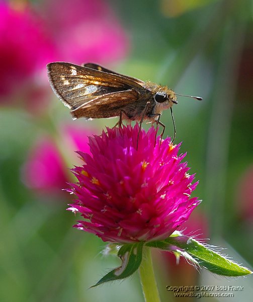 DSC_1856.jpg